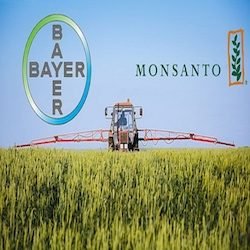 Sì di Bruxelles al matrimonio Bayer – Monsanto, ma a certe condizioni.
