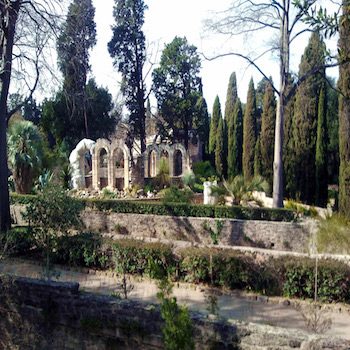 Il giardino delle piante di Montpellier