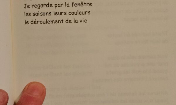 Pubblicazione sul n°35 della rivista CAIRNS (Francia)